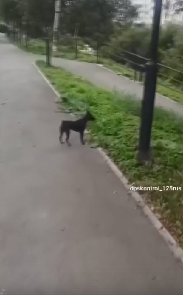 �� ���� ��� � ����������� ������..