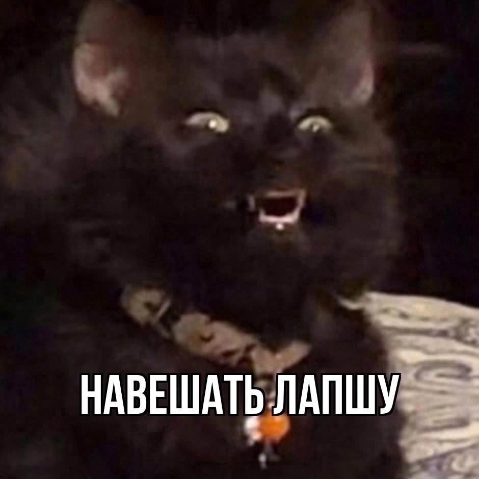  - 3  2025  11:56 - 4