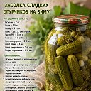���� �����, ����������� - ��������� 6 �������� 2026 � ������ ������ ��������