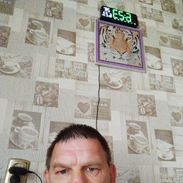 , 53, 