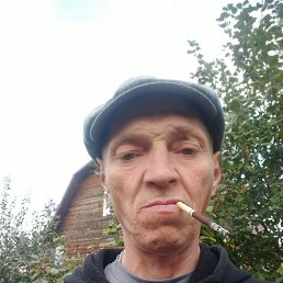 , 48 , 