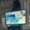 ���� �����, ������-��-����, 46 ��� - ��������� 25 ����� 2026 � ������ ������ ��������