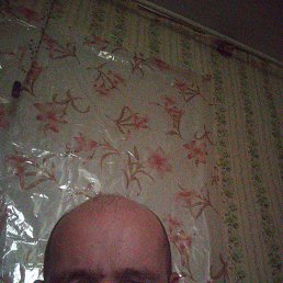 �������, 42 ����, ������