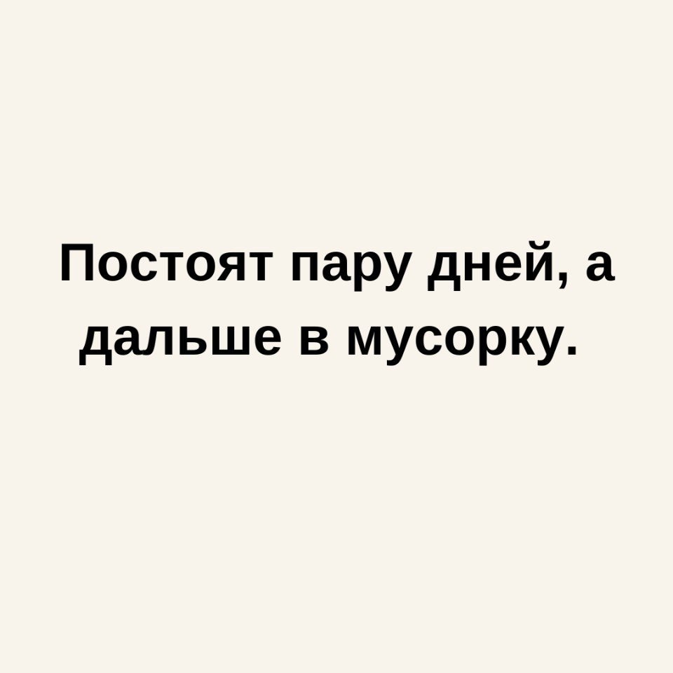   - 17  2025  10:13 - 2