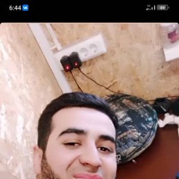 , 33, 