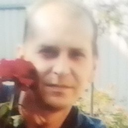 �����, ��������, 40 ���