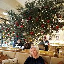 ���� ��������, �����-��������� - ��������� 2 ������ 2026 � ������ ���� ����������