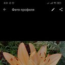 ���� Larisa, ������-���, 48 ��� - ��������� 30 ������� 2023 � ������ ���� ����������