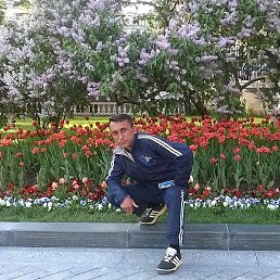 �����, ������-��-����, 46 ���