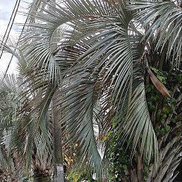 ������., �����, 70 ���