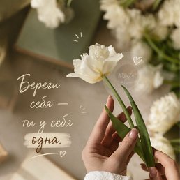 ���� ����, ������, 53 ���� - ��������� 22 ��� 2026
