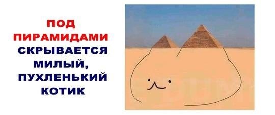 He ax coe. Ka  yaee, o oe  oee oe? - 6