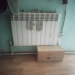 ������, ���������, 41 ���