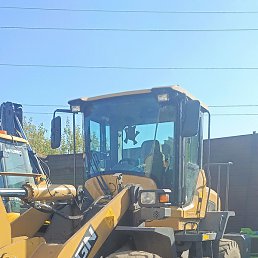 ������� �������, ����, 44 ����