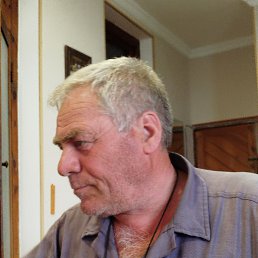 Vaja, 64, 