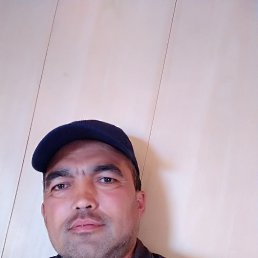 ���� �������, ������, 43 ���� - ��������� 13 ����� 2026