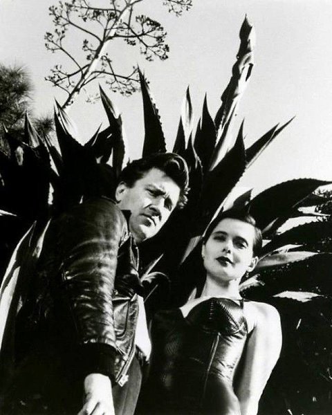     .    .       ... - 4