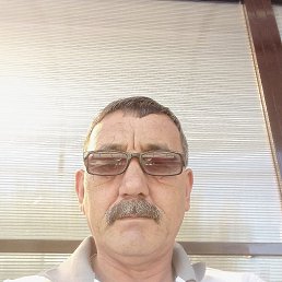 , 53 , 