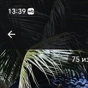 �����, 39 ���, �����