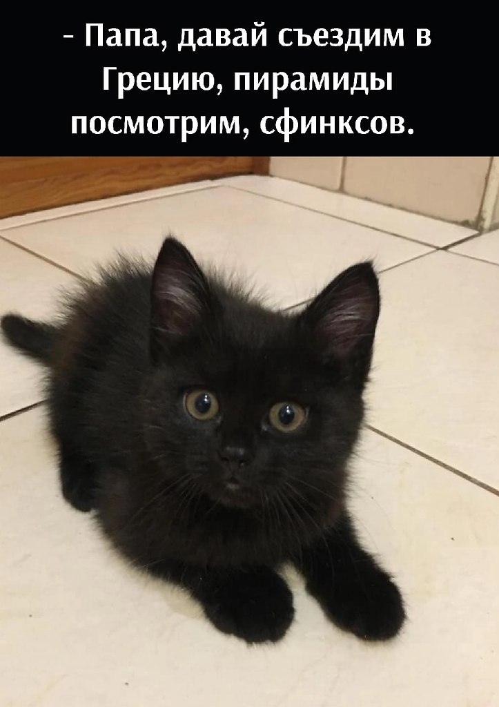       - 5  2025  12:36