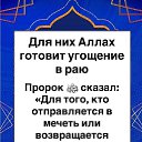 ���� ����, ������, 43 ���� - ��������� 1 ������ 2025 � ������ ������ ��������