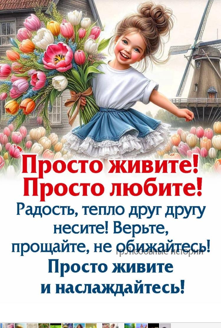   - 8  2024  20:46