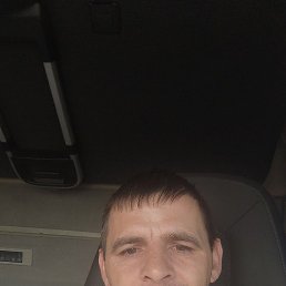 , 37, 