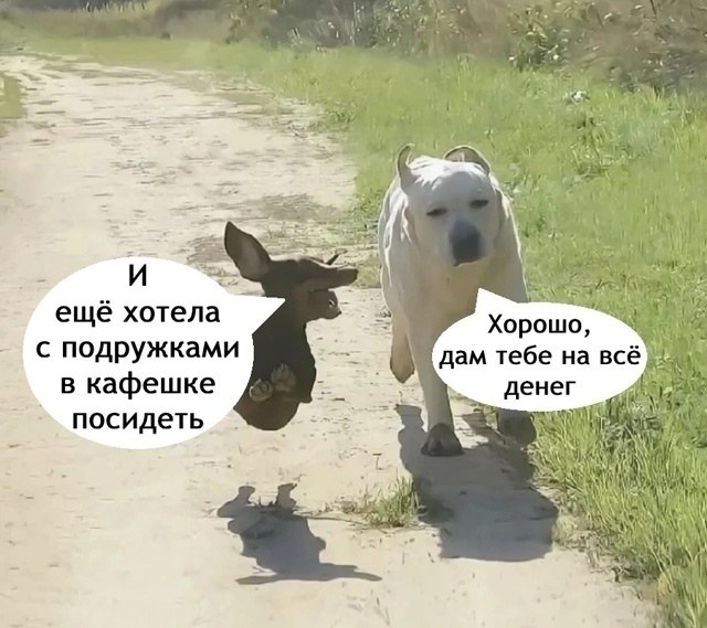 Мужчины поймут.. Цените таких! - 5