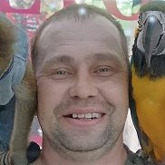 �������, 38 ���, ������