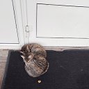 ���� �����, ����� - ��������� 17 ������� 2025 � ������ ������ ��������