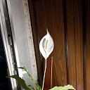 ���� �������, �����-���������, 59 ��� - ��������� 14 ������ 2025 � ������ ���� ����������