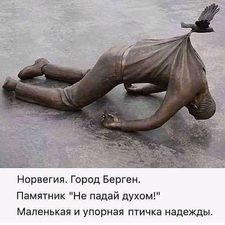   ! - 8  2025  10:33