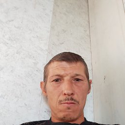 ���� ������, ����� �������, 44 ���� - ��������� 26 �������� 2024