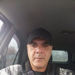 , 44,  