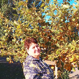 , 58, 