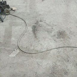 ������, ������, 36 ���