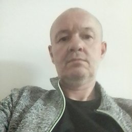 , 51 ,  