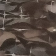 �������, 40 ���, ����