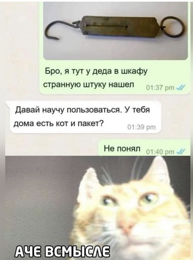 Anna - 11  2024  20:45