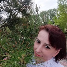 , 44, 