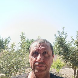  , 50, 