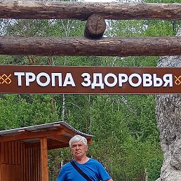 , 65 , 