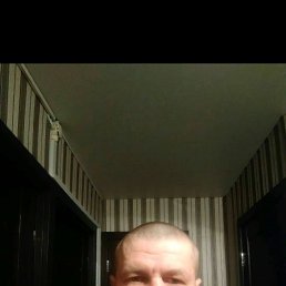, 41, 
