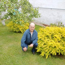 ���� �������, ������ ��������, 42 ���� - ��������� 8 ������ 2024