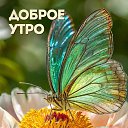  ,  -  2  2025    