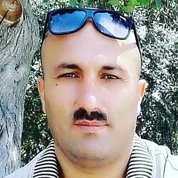 Elsad, ����, 53 ����