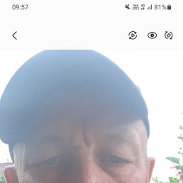 , 56 , 