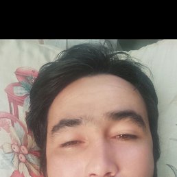 , 34, 