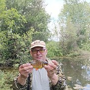 , 56 , 