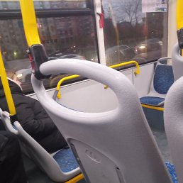 ���� ����, ������, 37 ��� - ��������� 15 ������ 2023